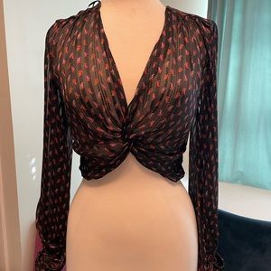 Zara Cropped Sheer top